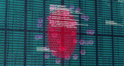 Fingerprint Overlay on Digital Data with Network Connections