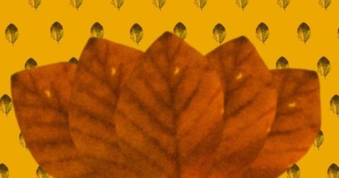 Orange Autumn Leaves on Vibrant Background - Download Free Stock Images Pikwizard.com