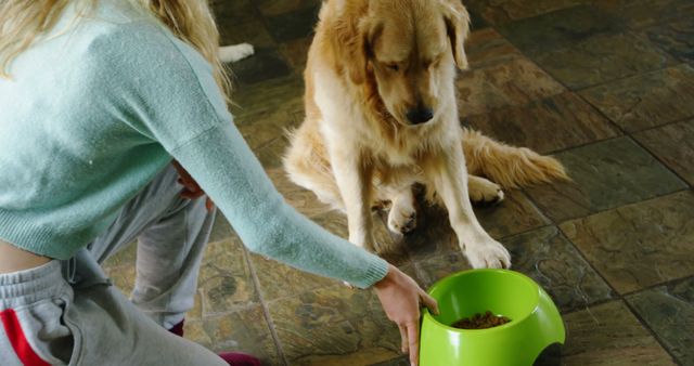 Person feeding golden retriever with green food bowl placed on tiled floor. Useful for pet care, canine nutrition, and human-animal bond themes.