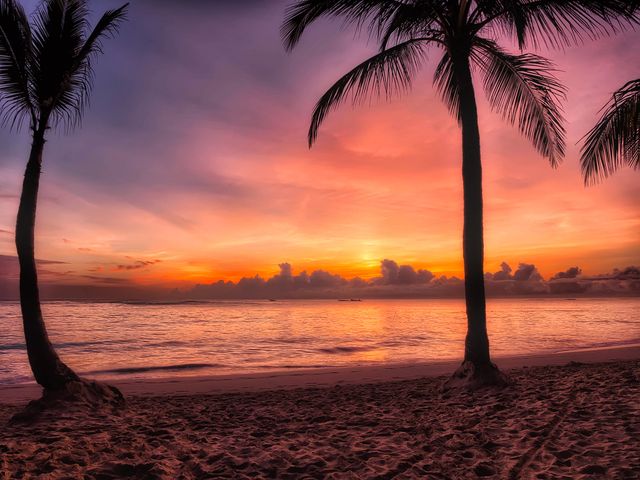 A breathtaking scene of a tropical beach at sunset with vibrant colors in the sky. Palm trees frame the view of the ocean, creating a perfect paradise setting. This image can be used for travel advertising, vacation destinations, digital backgrounds, or motivational posters.
