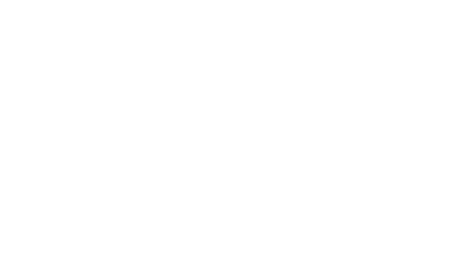 Transparent Silhouettes of Fencing Male Athletes on Transparent Background - Download Free Stock Videos Pikwizard.com