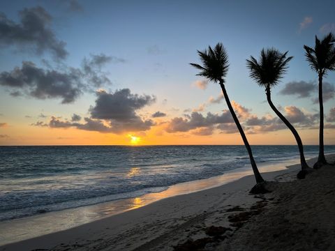 Palm Trees Silhouetted Against Bright Ocean Sunset
