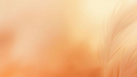 Floating delicate feather macro on warm orange gradient with soft bokeh and copy space