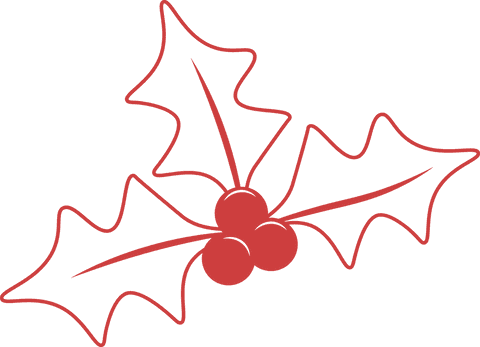 red holly and berries icon with transparent background - Download Free Stock Videos Pikwizard.com