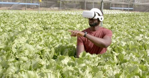 Virtual Reality Meets Hydroponic Farming African American Man Innovates Agriculture