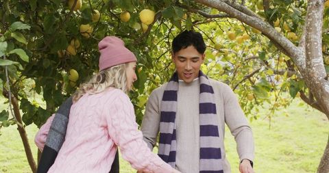 Diverse couple picking yellow fruit in autumn orchard wearing sweaters scarves beanie