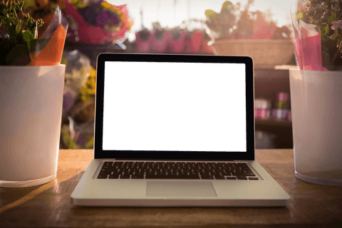 Transparent laptop on wooden table with flowers in sunshine
