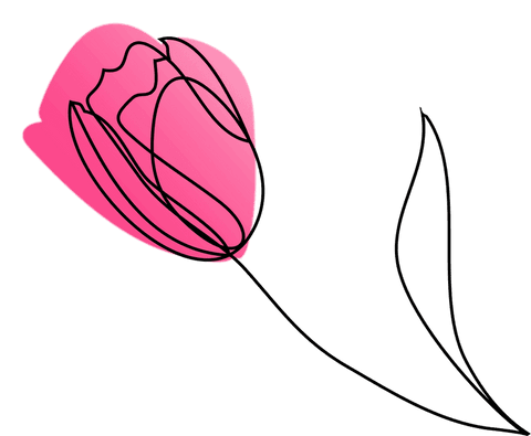 minimalist flower line art with pink gradient on transparent - Download Free Stock Videos Pikwizard.com