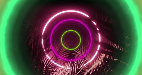 Colorful Neon Rings with Palm Leaves and Retro Nightlife Vibes