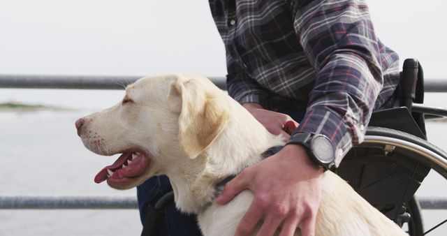 Man sitting in wheelchair wearing plaid shirt, petting a friendly golden Labrador by the waterfront. The calm and scenic outdoor environment emphasizes companionship and inclusiveness. Useful for illustrating themes of support animals, disability awareness, and the positive effects of animals on mental health and well-being.
