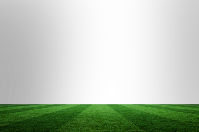 Stripe-patterned Sports Field with Blank Space Transparent Background Digital Illustration - Download Free Stock Videos Pikwizard.com