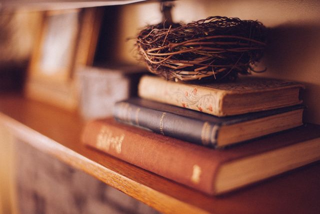 This image features vintage books stacked on a wooden shelf, complemented by a decorative bird's nest. The warm, rustic decor creates a cozy and inviting home environment. Perfect for articles on interior design, reading materials, home decor inspiration, and antique collections.