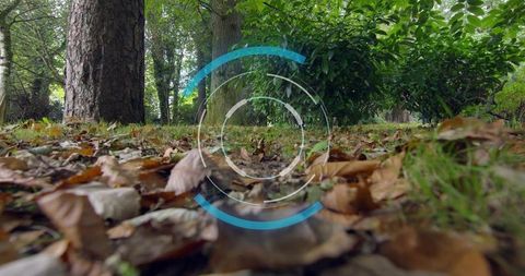 Futuristic AR HUD hovering over autumn forest floor with cyan concentric rings