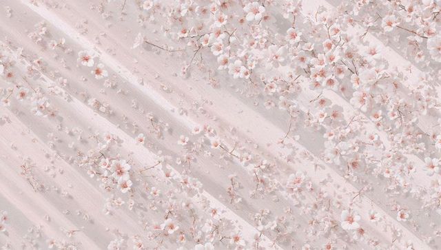 Pale pink cherry blossoms scattering across textured pastel blush backdrop