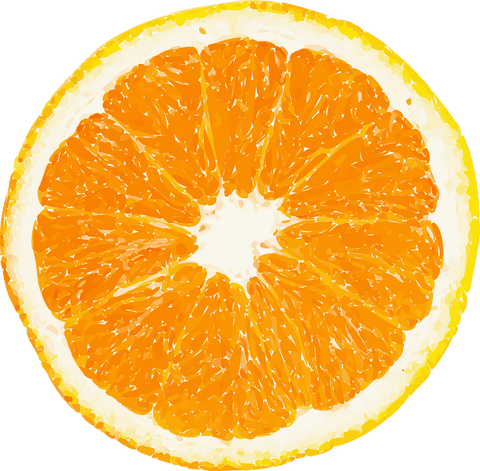 orange slice illustration on transparent background highlighting freshness - Download Free Stock Videos Pikwizard.com
