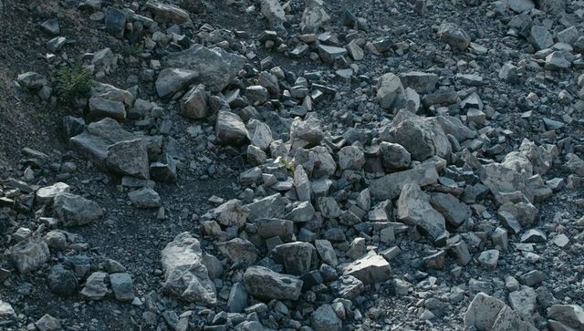 Rugged talus slope with scattered boulders and green seedlings on alpine rocky terrain