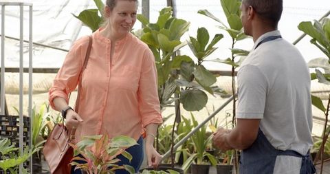 Diverse Nursery Interaction Between Worker and Customer Among Potted Plants