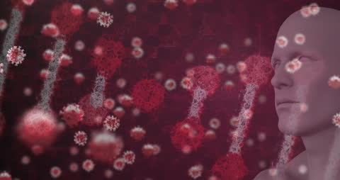 Visual Representation of COVID-19 Virus Particles