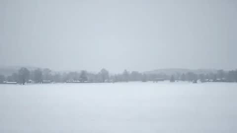 Recording Wide Snow-Covered Plain with Distant Treeline and Rural Houses in Winter Fog