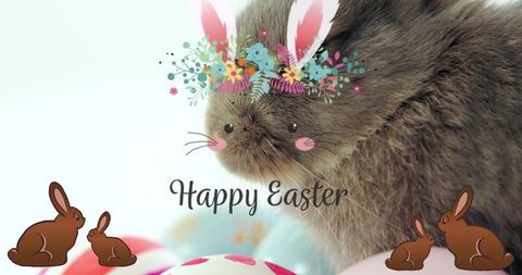 Fluffy grey rabbit wearing floral crown and bunny ears with pastel easter eggs