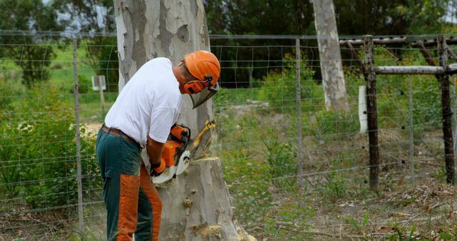 Worker Cutting Down Tree with Chainsaw in Rural Area - Download Free Stock Images Pikwizard.com
