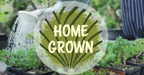 Homegrown gardening scene with watering plants emphasis