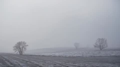 Misty winter farmland with three bare trees fading into thickening fog