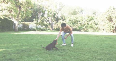 Asian man crouching and playing with black puppy on sunlit lawn, peaceful outdoor lifestyle