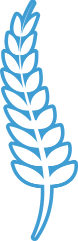 blue cereal symbol illustration on transparent background - Download Free Stock Videos Pikwizard.com
