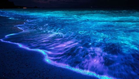 Bioluminescent Waves Lighting Turquoise Purple Shoreline at Night