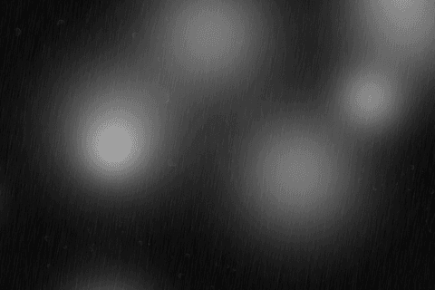 Abstract Black Shape with Transparent Background for Creative Projects - Download Free Stock Videos Pikwizard.com