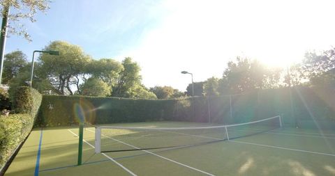 Sunny empty tennis court surrounded by lush greenery