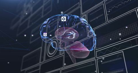 Digital Brain Tech Conveying Data Processing Concept - Download Free Stock Images Pikwizard.com