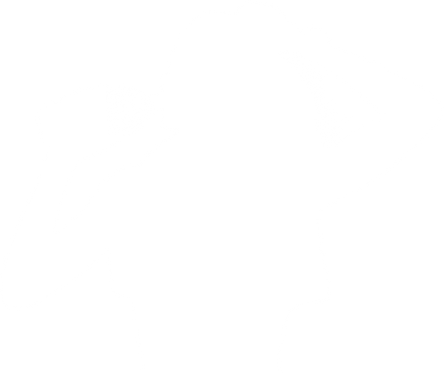 Silhouette of Woman Drinking Water - Transparent Background - Download Free Stock Videos Pikwizard.com