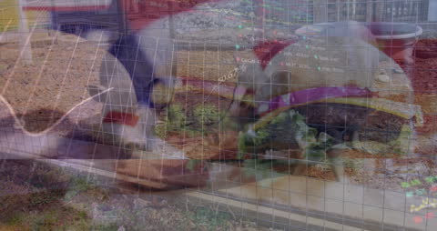 Futuristic Overlay of Financial Data on Analytics Expert at Work