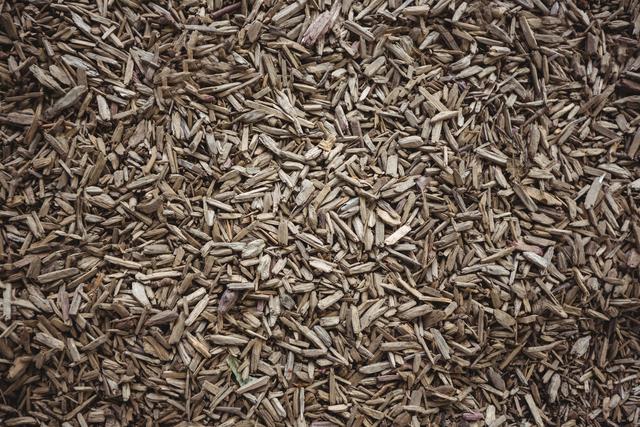 This detailed close-up of woodchips is ideal for use in gardening and landscaping projects, eco-friendly promotions, or as a natural background in design work. The organic texture and earthy tones make it suitable for environmental themes and outdoor-related content.