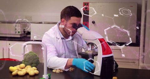 Scientist Analyzing Food Samples in Advanced Research Laboratory - Download Free Stock Images Pikwizard.com