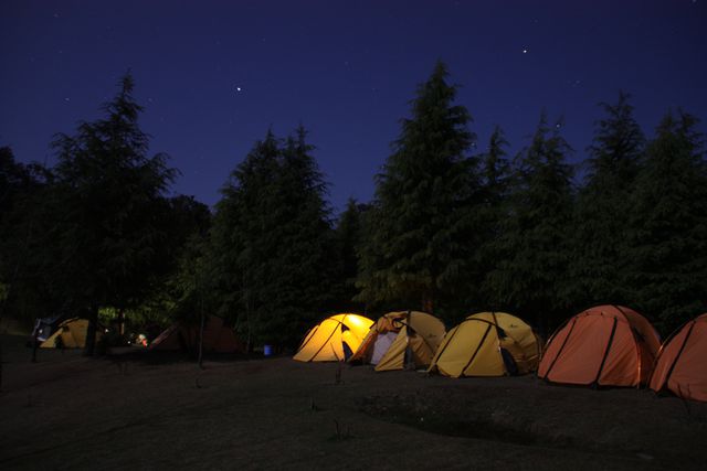 Group of yellow tents set up in a forested area at night under a star-filled sky. Ideal for materials related to outdoor recreation, adventure tourism, group expeditions, wilderness retreats, and nature experience promotions.