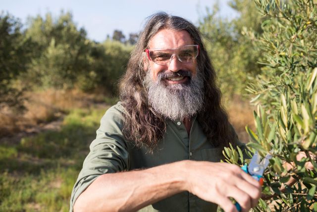 Portrait of happy man pruning olive tree in farm on a sunny day