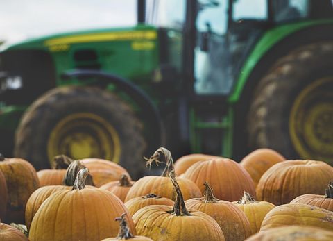 Autumn pumpkins sitting in foreground of green tractor harvest scene on rustic farm