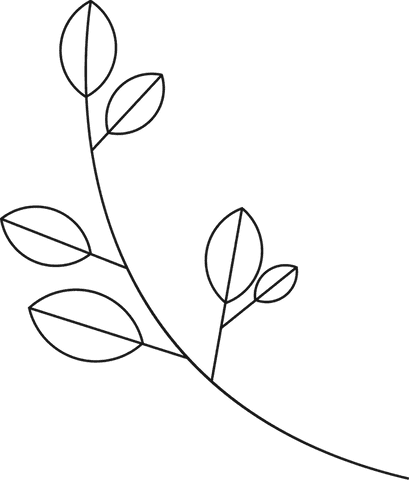 Minimalist Plant Branch Line Art with Transparent Background - Download Free Stock Videos Pikwizard.com