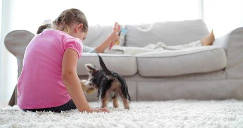 Girl Playing with Puppy on Cozy Living Room Rug