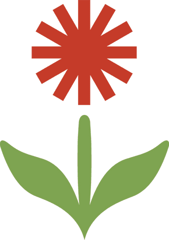 Flat design flower with red bloom on transparent background