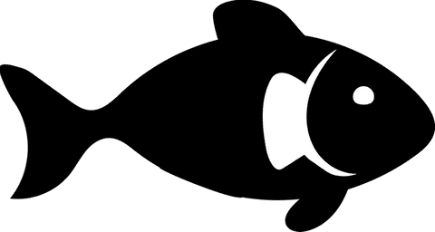 Minimalist fish silhouette floating on transparent background