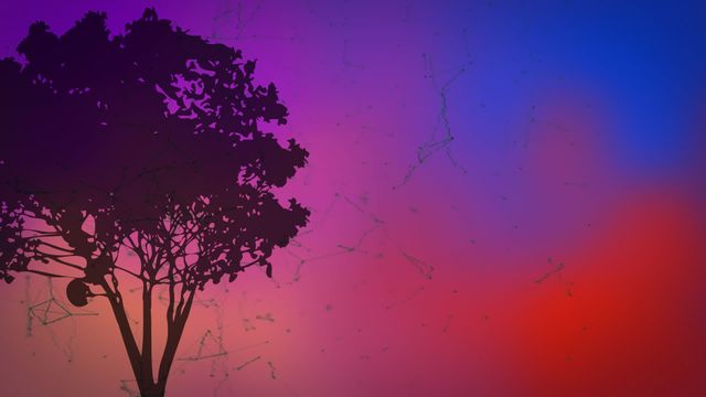 This depicts a tree silhouette set against a dynamic and colorful abstract background, featuring swirling blue, purple, and red hues with interconnected shapes. Ideal for adding a sense of movement and vibrant energy to a project. Perfect for use in digital artworks, videos, presentations focused on creativity, nature-inspired themes, and abstract concepts.