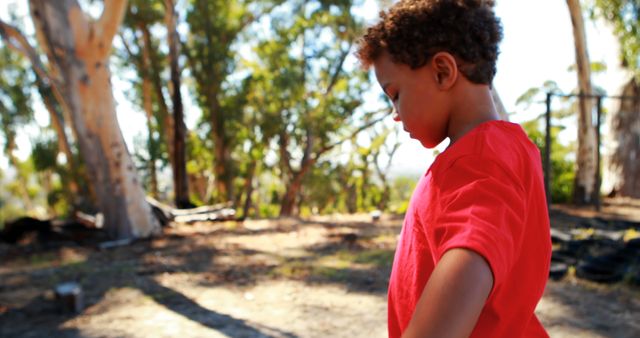 Pensive Child Outdoors in Sunlit Woodland - Download Free Stock Images Pikwizard.com