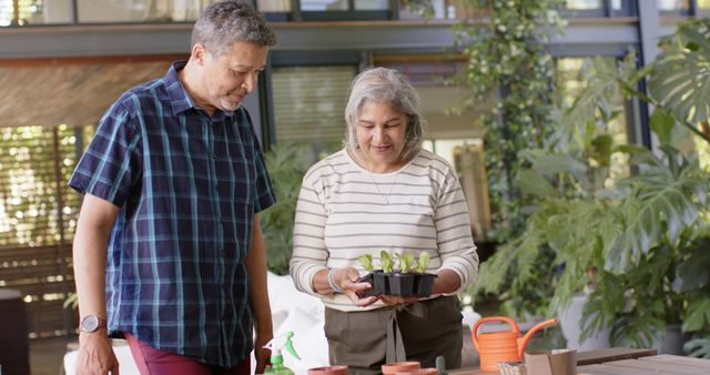 Happy diverse senior couple sitting at table and planting plants to pots on porch, vertical. Retirement, leisure, togetherness, gardening, plants and nature concept, unaltered.