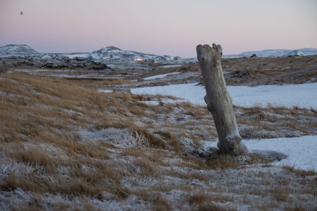 This image depicts a wintry grassland during twilight, featuring a solitary tree stump standing upright amid frosty and snowy terrain. Snow-covered mountains are visible in the background under a softly colored sky. Ideal for projects related to nature, the winter season, and serene landscapes. This image emphasizes the beauty and harshness of winter wilderness.