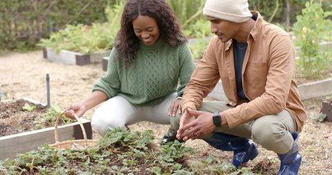 Diverse Couple Kneeling Tending Seedlings in Community Raised Garden Bed with Basket