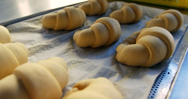 Raw croissants on parchment paper sit on a baking sheet, ready for the oven. Perfect for illustrating homemade baking, bakery preparation, or cooking recipes. Suitable for food blogs, culinary websites, or baking instructional materials.